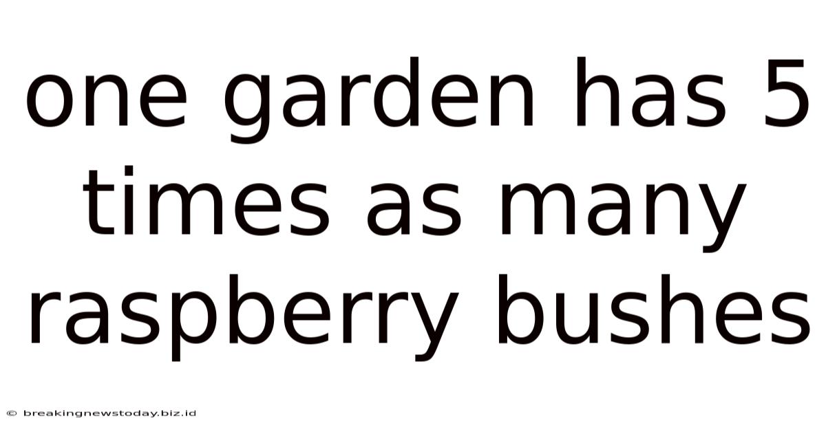 One Garden Has 5 Times As Many Raspberry Bushes