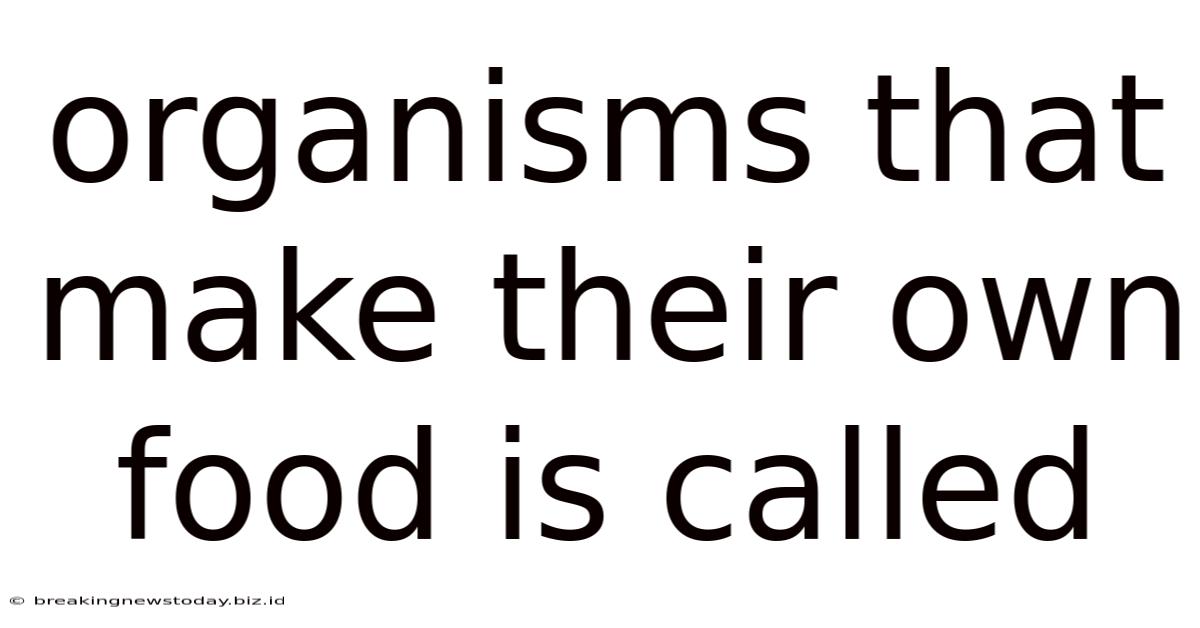 Organisms That Make Their Own Food Is Called