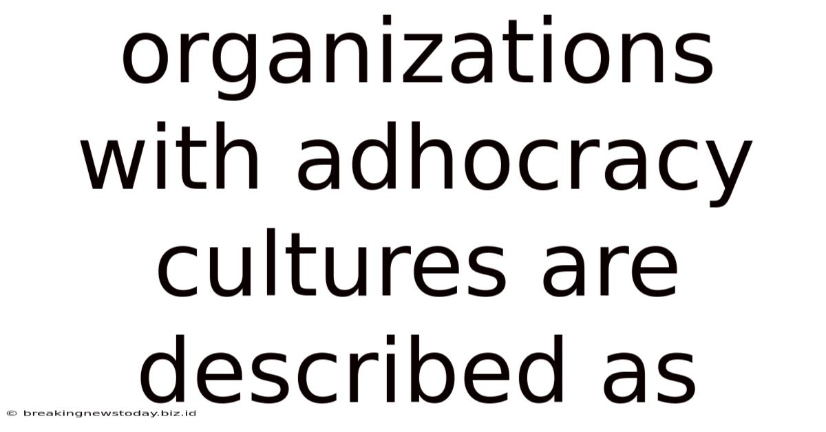 Organizations With Adhocracy Cultures Are Described As
