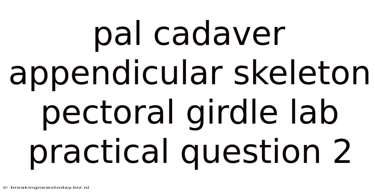 Pal Cadaver Appendicular Skeleton Pectoral Girdle Lab Practical Question 2