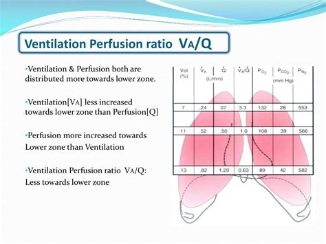 Patients With Perfusing Rhythms Should Receive Ventilations Once Every