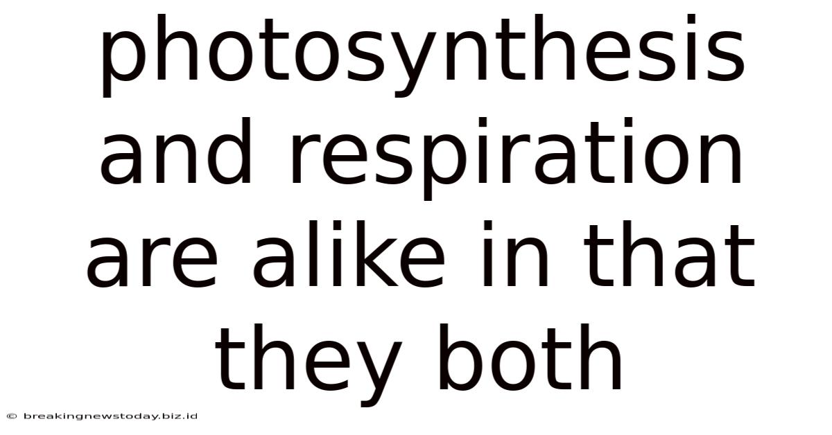 Photosynthesis And Respiration Are Alike In That They Both