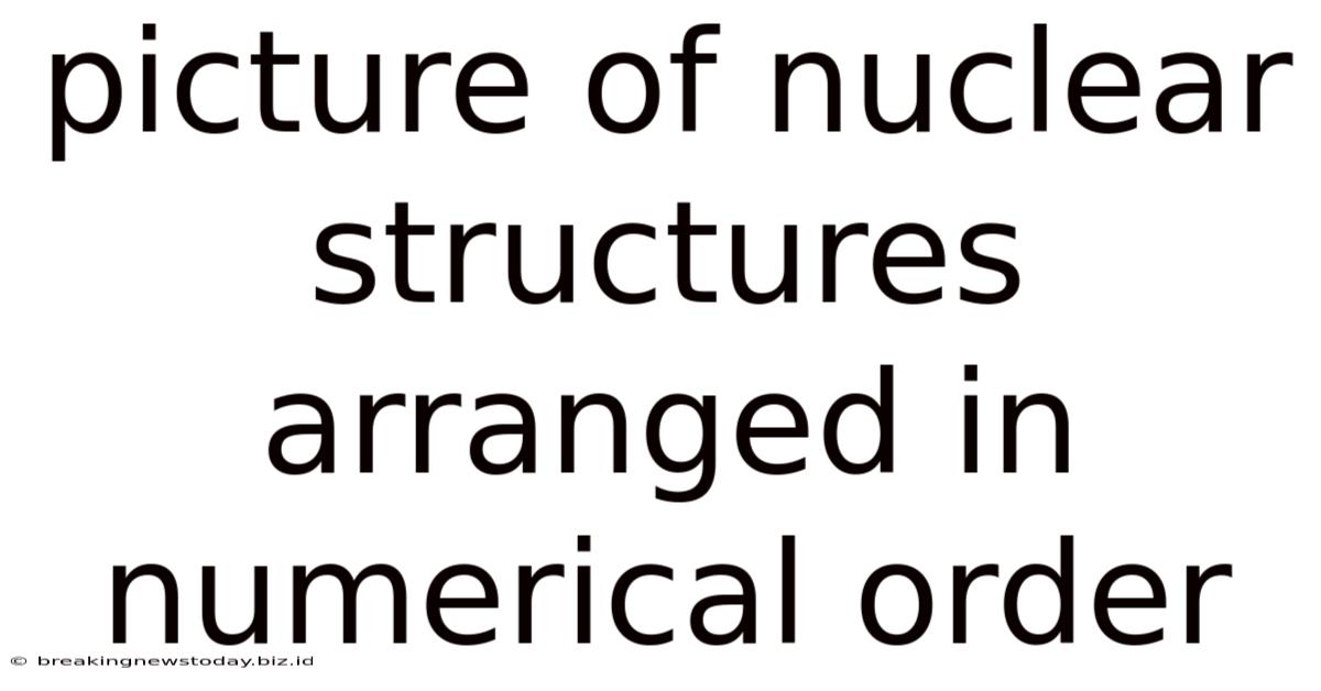 Picture Of Nuclear Structures Arranged In Numerical Order