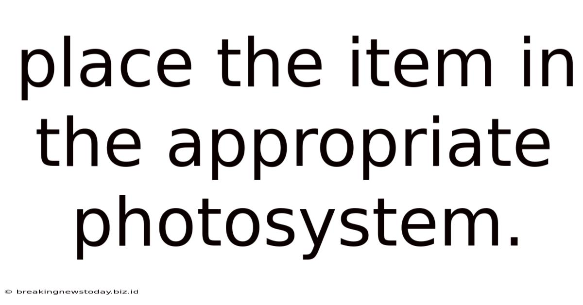 Place The Item In The Appropriate Photosystem.