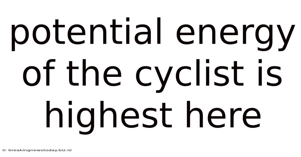 Potential Energy Of The Cyclist Is Highest Here