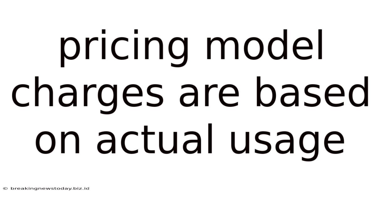 Pricing Model Charges Are Based On Actual Usage