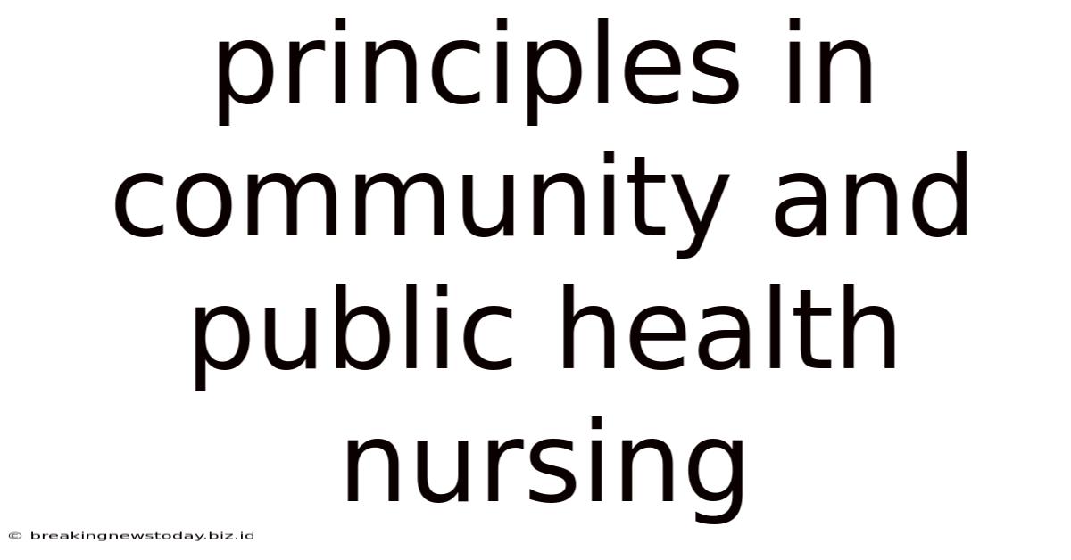 Principles In Community And Public Health Nursing