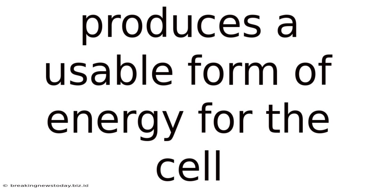 Produces A Usable Form Of Energy For The Cell