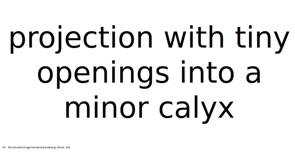 Projection With Tiny Openings Into A Minor Calyx