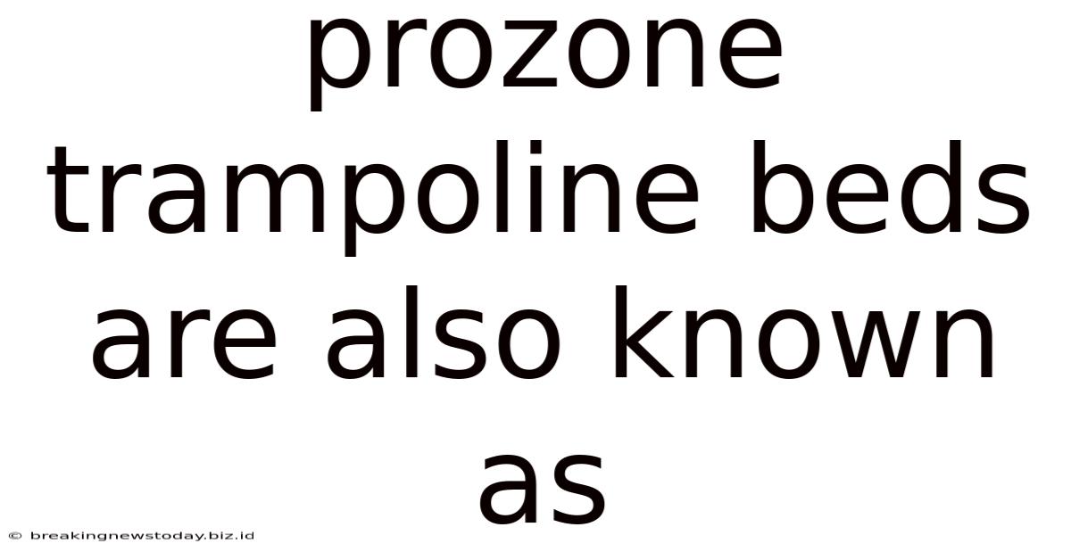 Prozone Trampoline Beds Are Also Known As