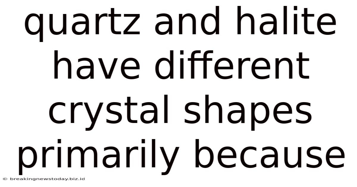Quartz And Halite Have Different Crystal Shapes Primarily Because