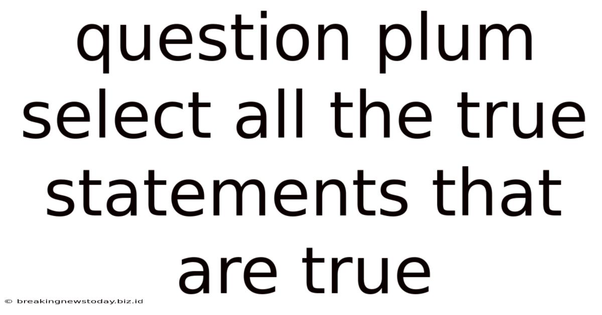 Question Plum Select All The True Statements That Are True