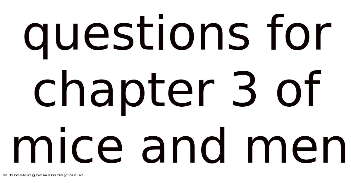 Questions For Chapter 3 Of Mice And Men