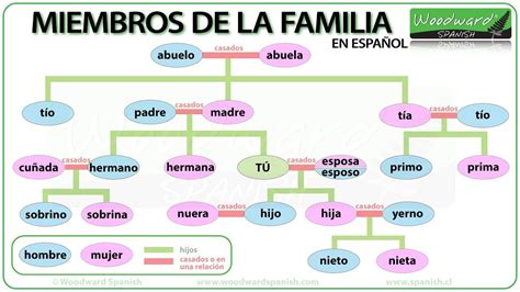 Quien Es El Hijo De Tu Padrastro In English