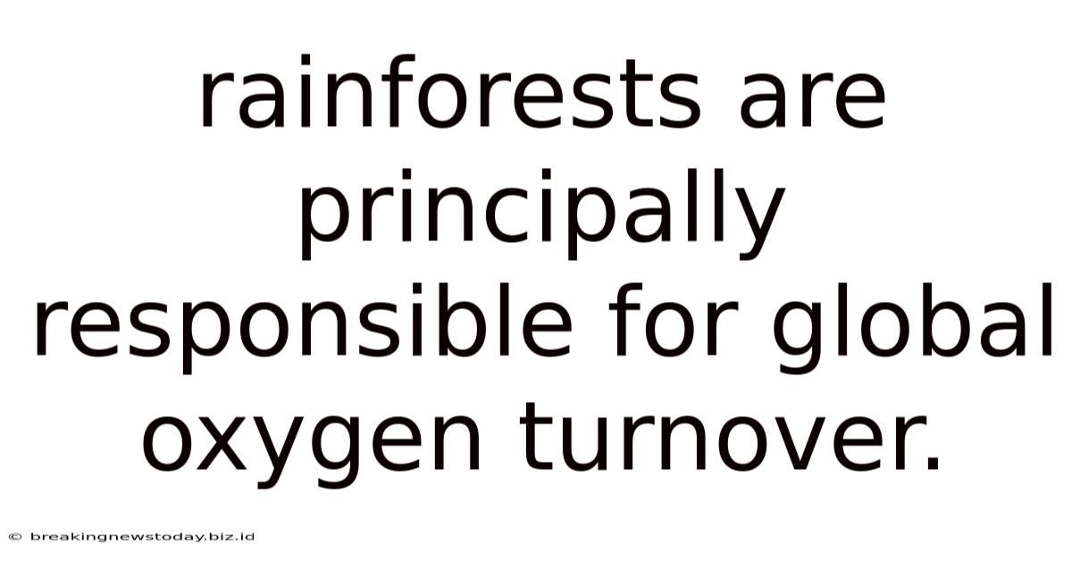 Rainforests Are Principally Responsible For Global Oxygen Turnover.