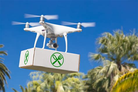 Ramone's Drones Inc Makes Local Delivers Using Small Drones