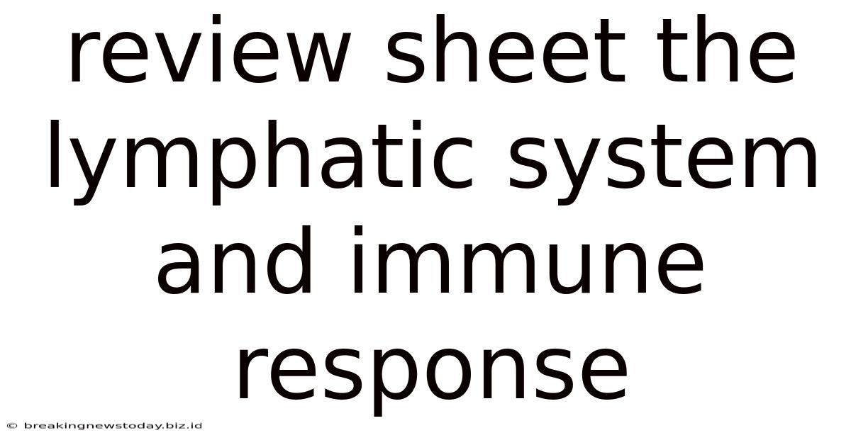 Review Sheet The Lymphatic System And Immune Response