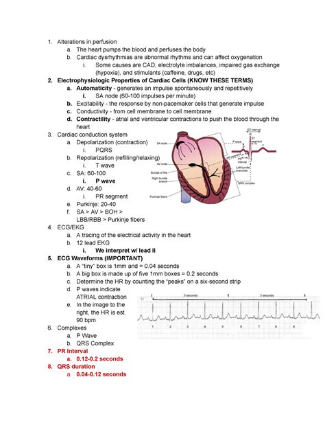 Rn Alterations In Cardiovascular Function And Perfusion Assessment