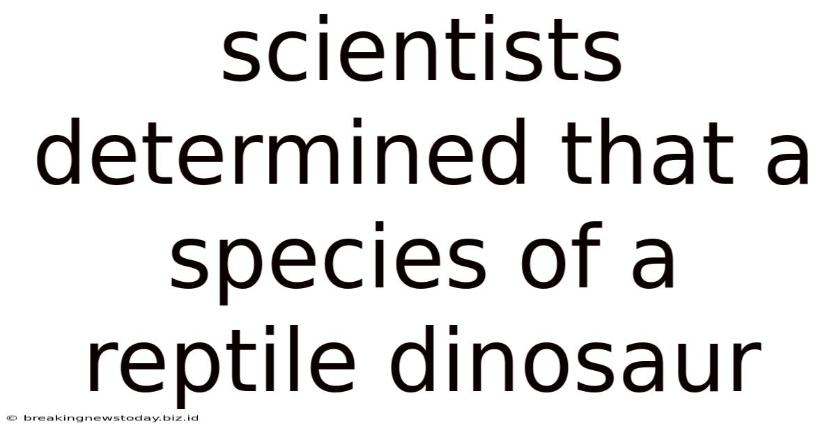 Scientists Determined That A Species Of A Reptile Dinosaur