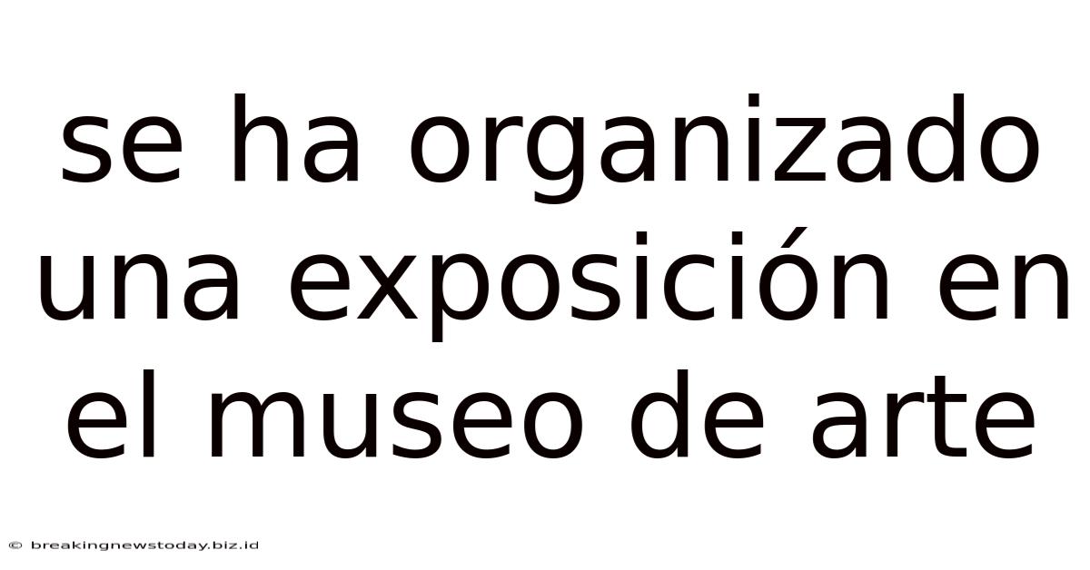 Se Ha Organizado Una Exposición En El Museo De Arte