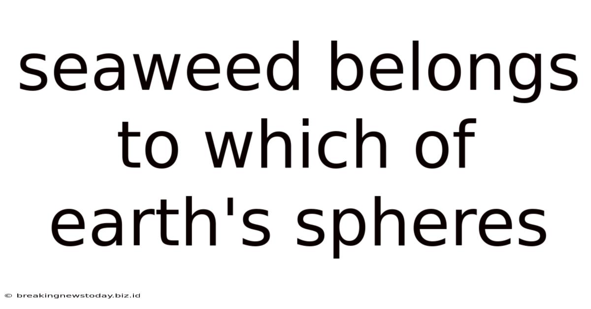 Seaweed Belongs To Which Of Earth's Spheres