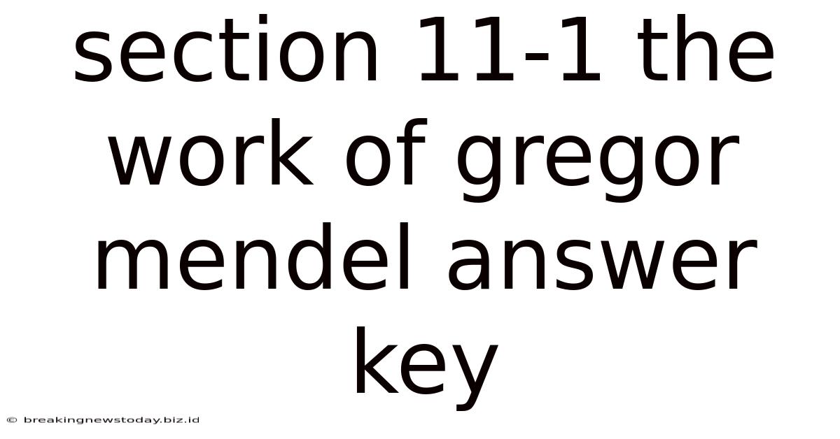 Section 11-1 The Work Of Gregor Mendel Answer Key