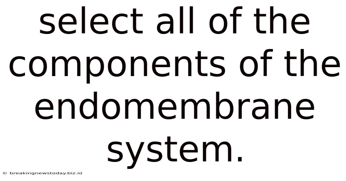 Select All Of The Components Of The Endomembrane System.
