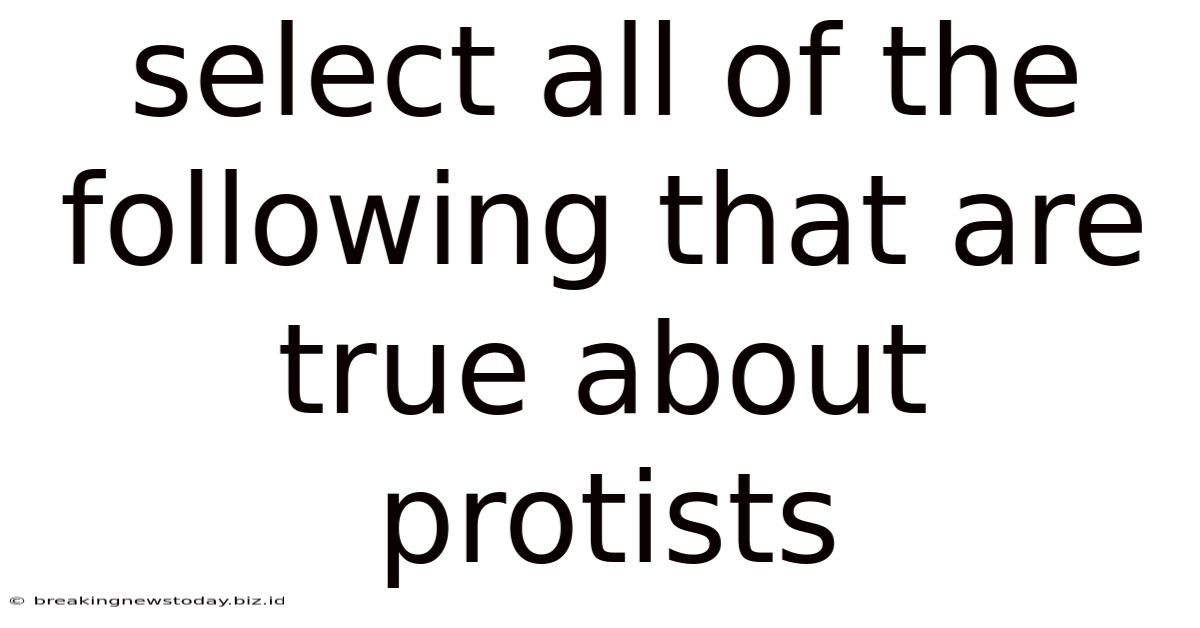 Select All Of The Following That Are True About Protists