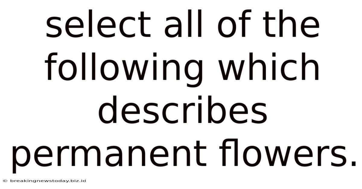 Select All Of The Following Which Describes Permanent Flowers.