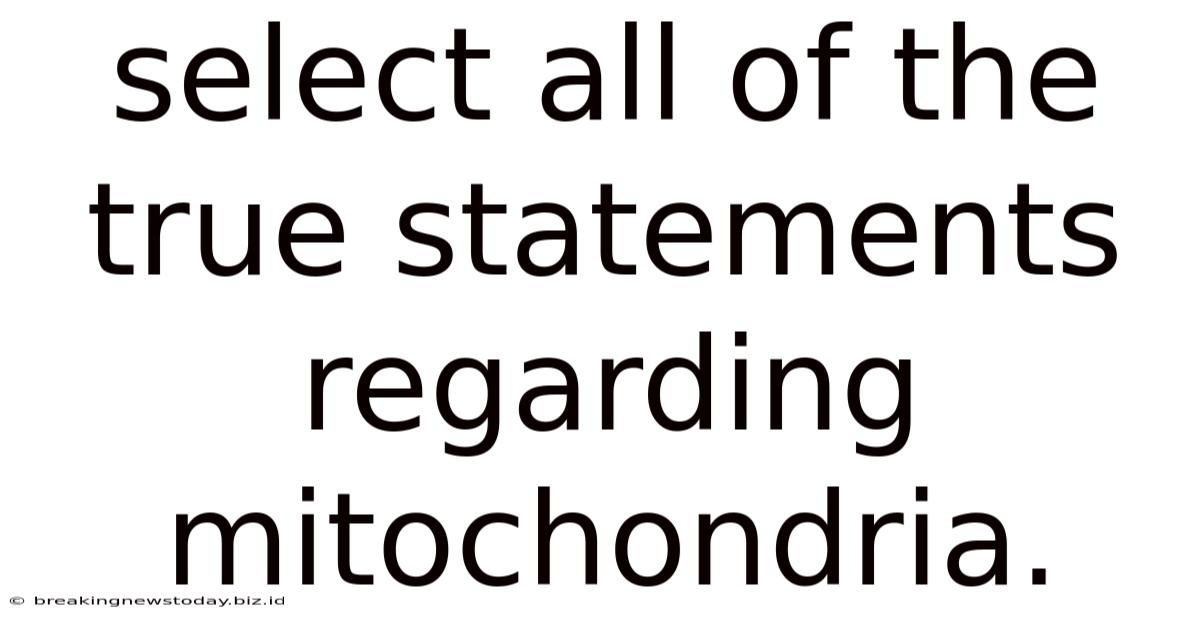 Select All Of The True Statements Regarding Mitochondria.