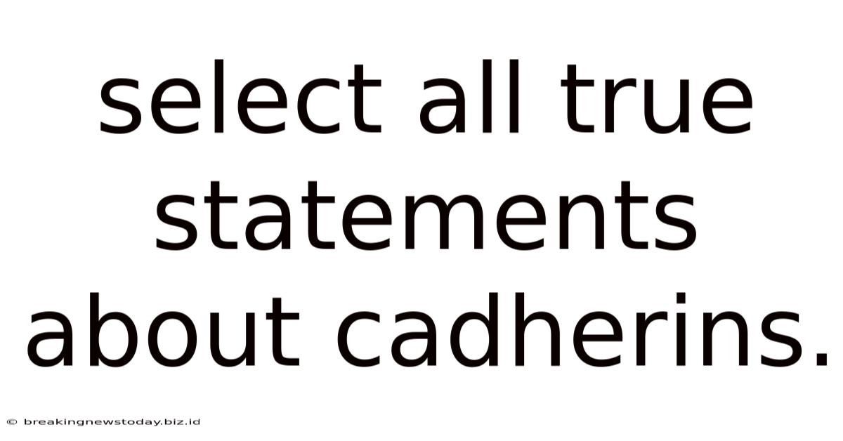Select All True Statements About Cadherins.