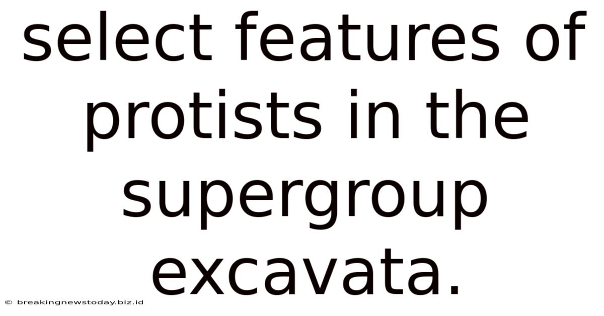 Select Features Of Protists In The Supergroup Excavata.