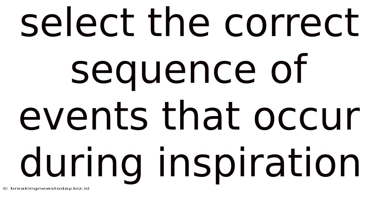Select The Correct Sequence Of Events That Occur During Inspiration