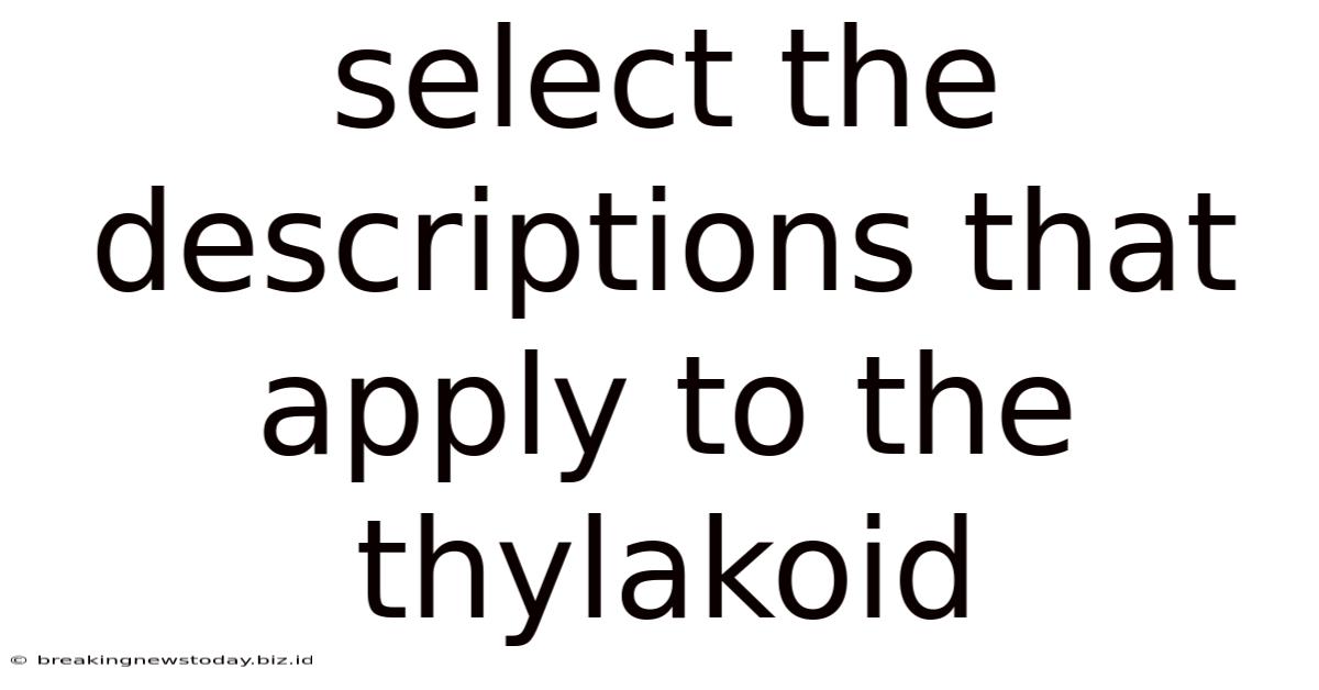 Select The Descriptions That Apply To The Thylakoid