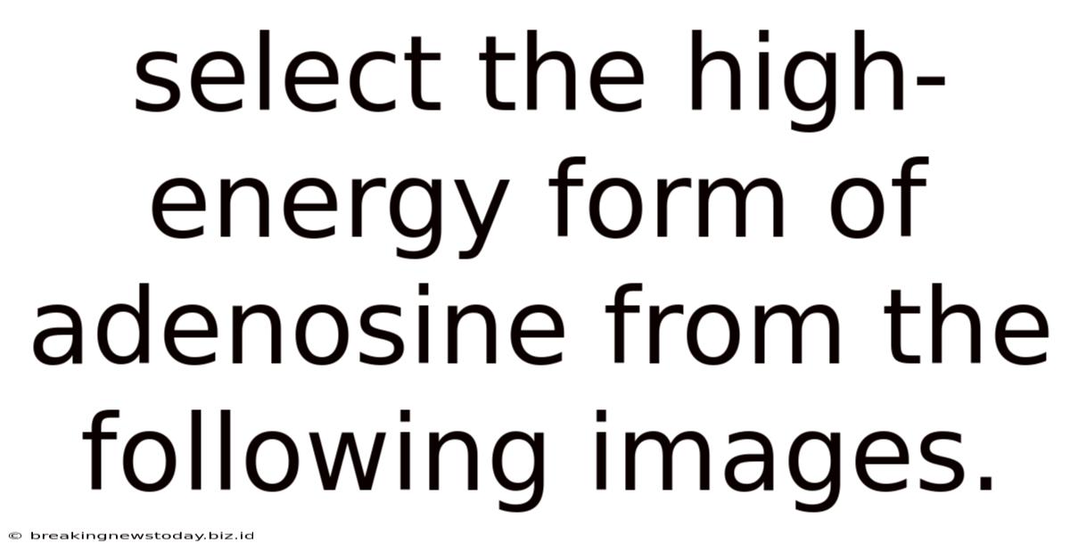 Select The High-energy Form Of Adenosine From The Following Images.
