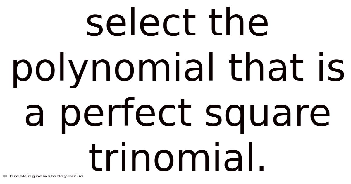 Select The Polynomial That Is A Perfect Square Trinomial.