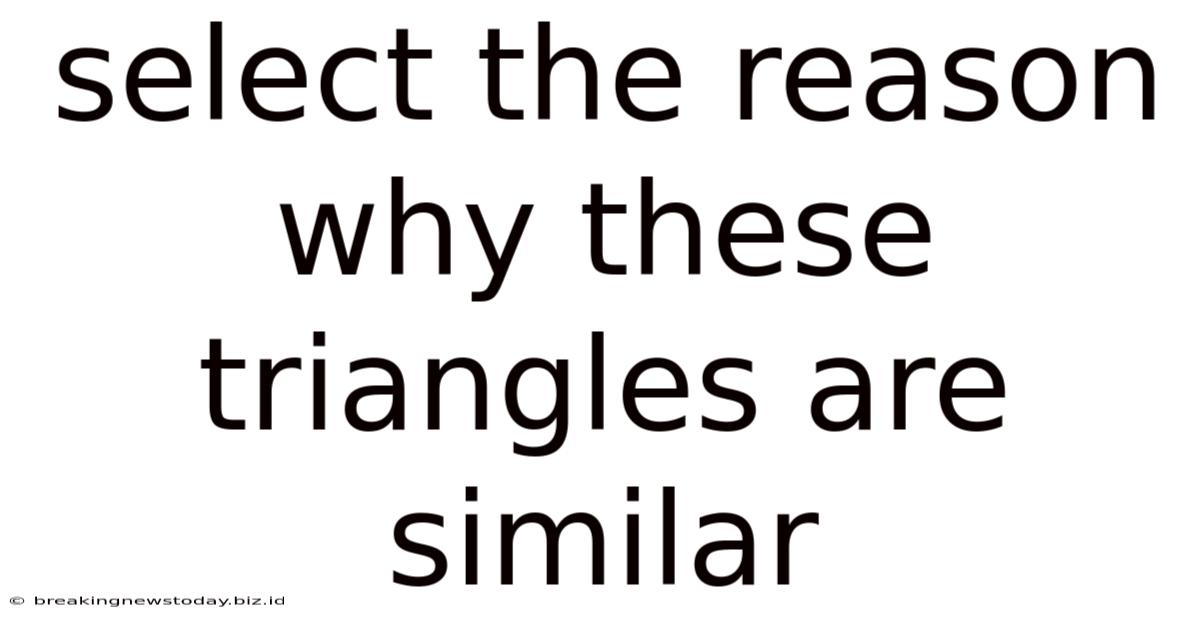 Select The Reason Why These Triangles Are Similar