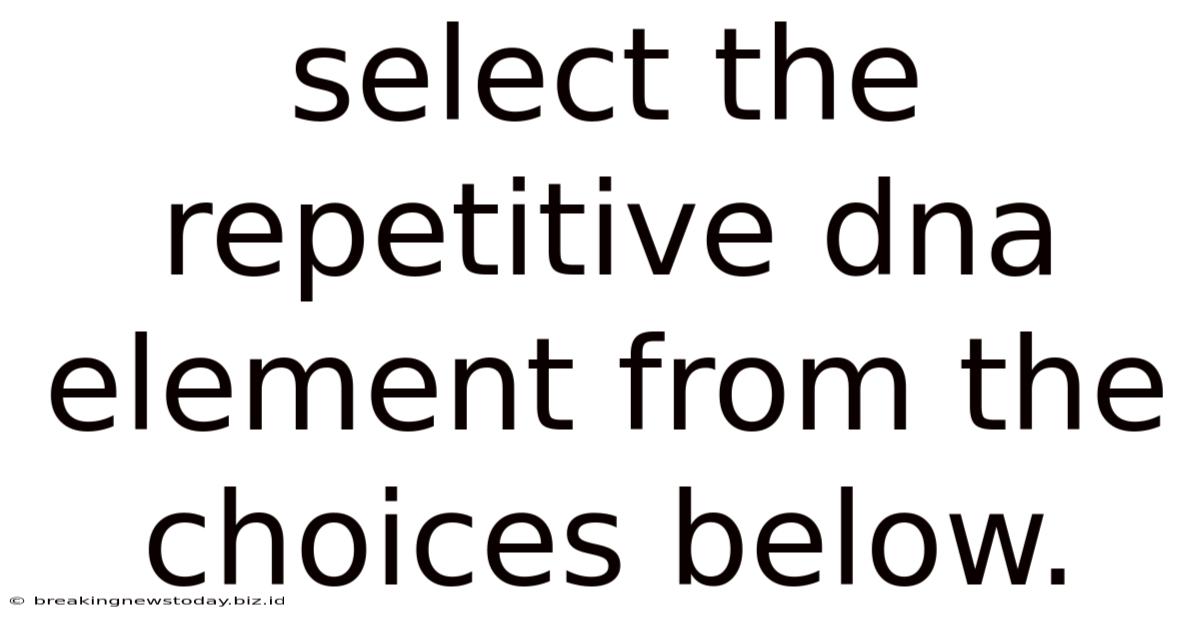 Select The Repetitive Dna Element From The Choices Below.