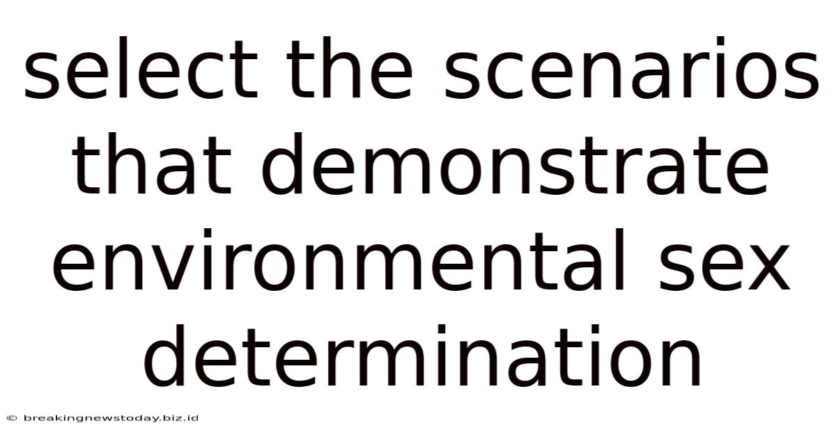 Select The Scenarios That Demonstrate Environmental Sex Determination