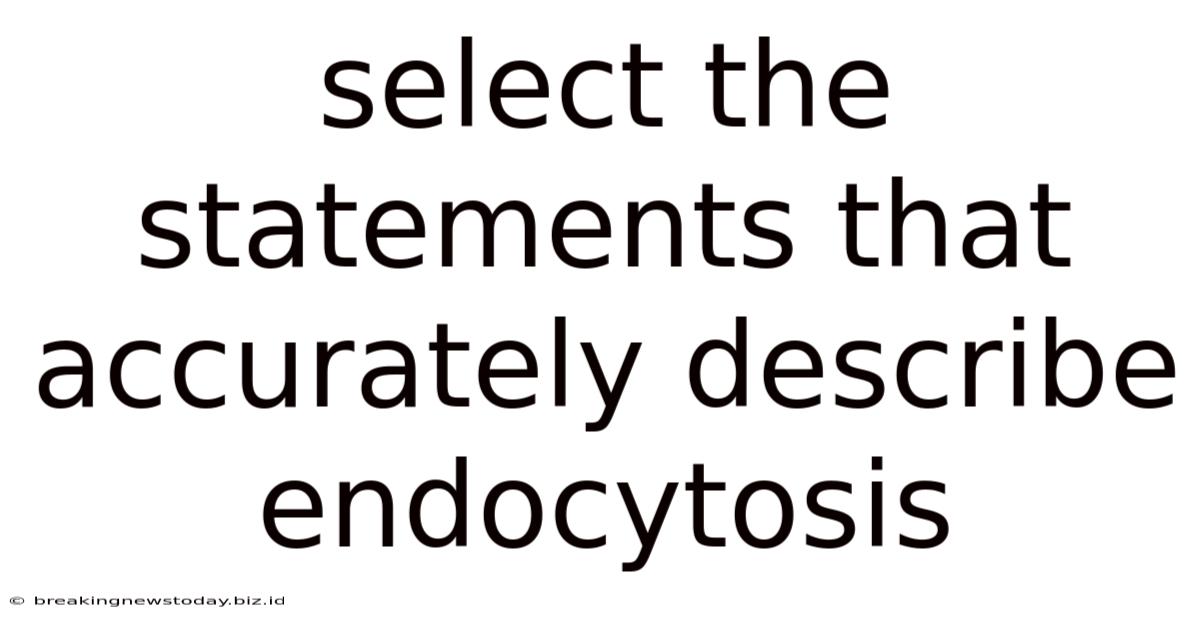 Select The Statements That Accurately Describe Endocytosis