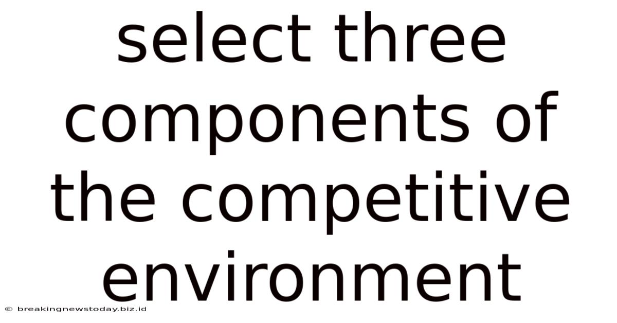 Select Three Components Of The Competitive Environment