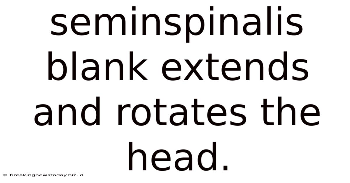 Seminspinalis Blank Extends And Rotates The Head.