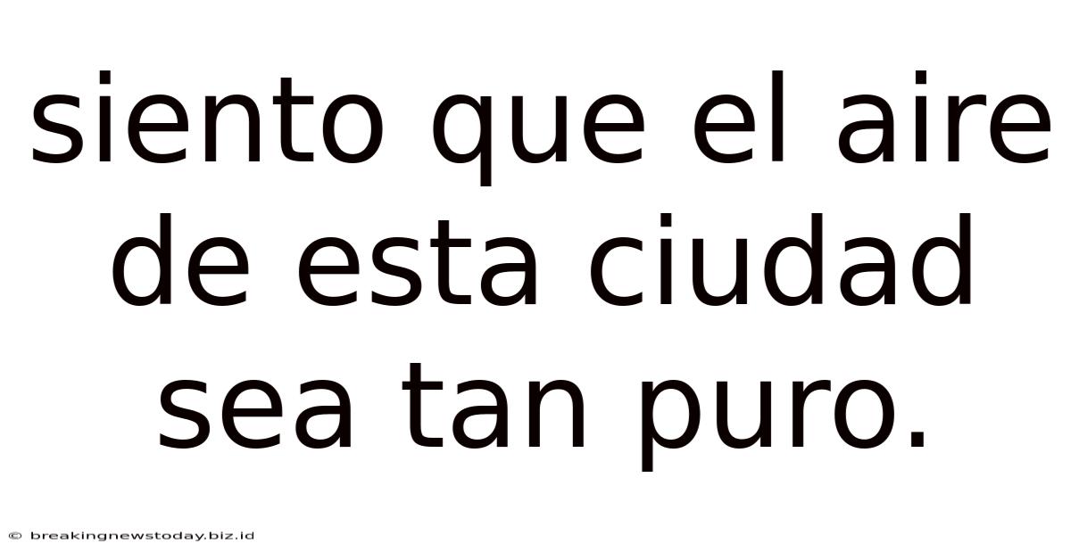 Siento Que El Aire De Esta Ciudad Sea Tan Puro.