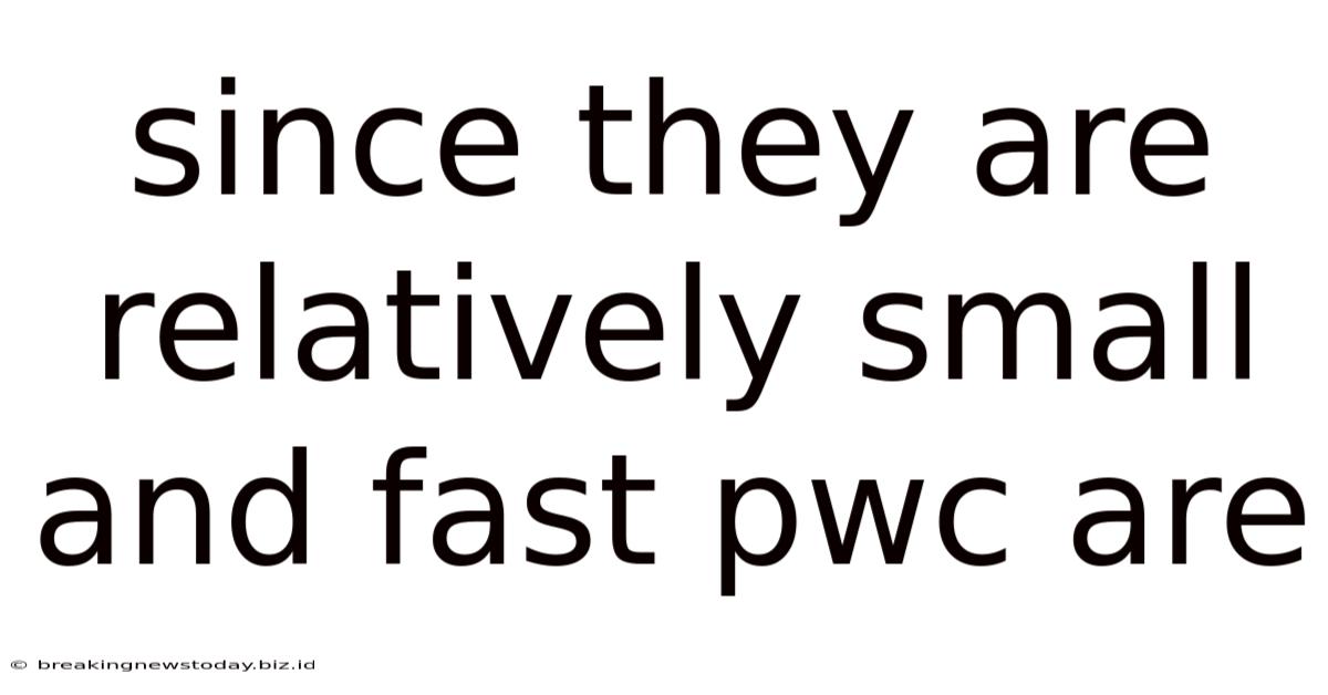 Since They Are Relatively Small And Fast Pwc Are