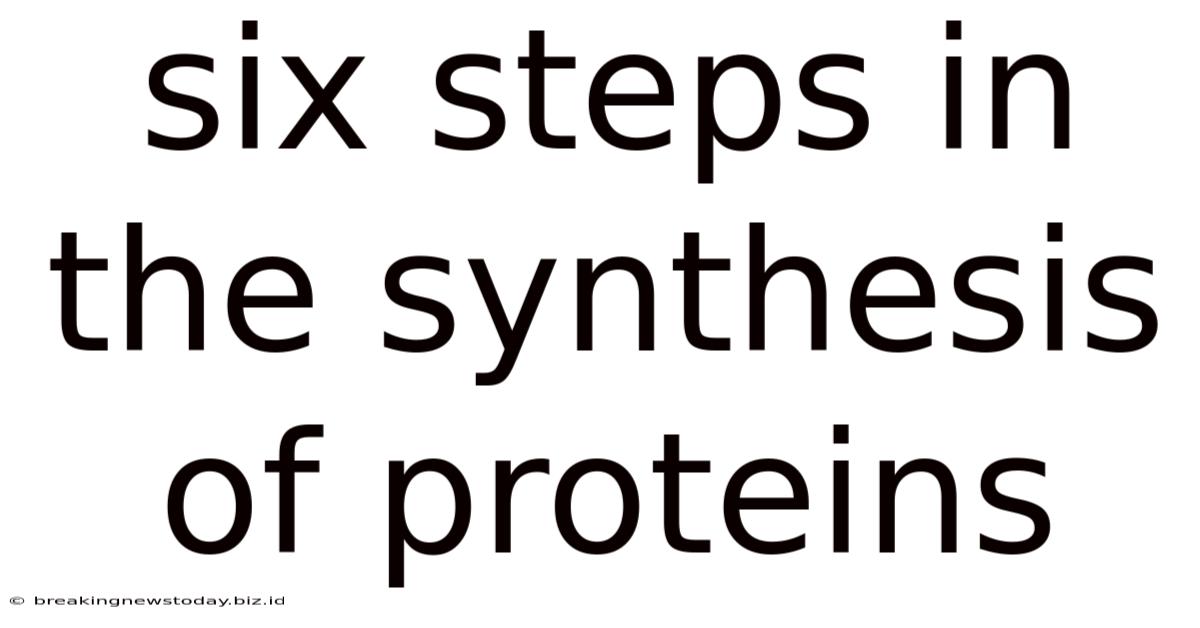 Six Steps In The Synthesis Of Proteins
