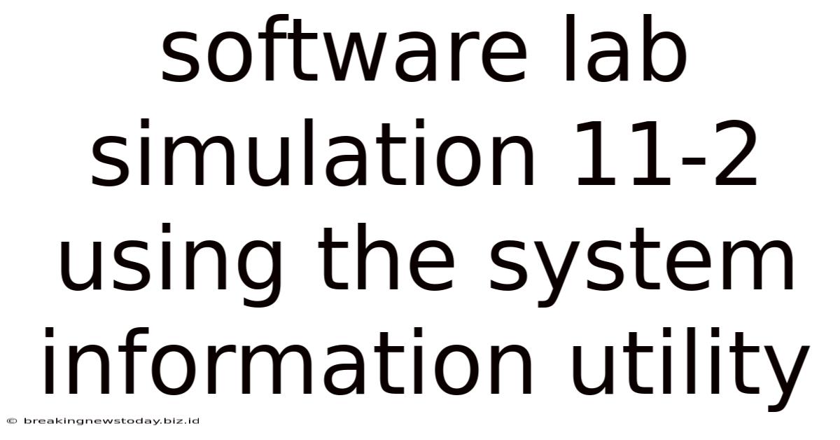 Software Lab Simulation 11-2 Using The System Information Utility