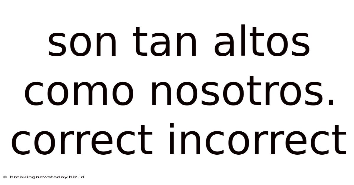 Son Tan Altos Como Nosotros. Correct Incorrect