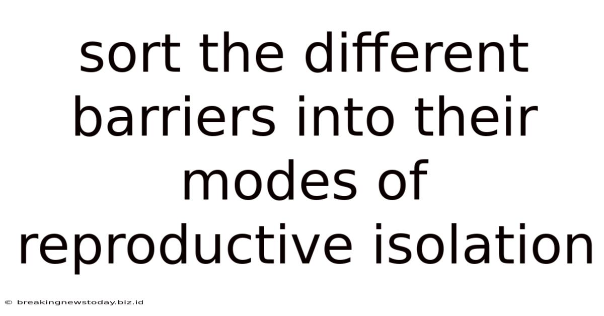 Sort The Different Barriers Into Their Modes Of Reproductive Isolation