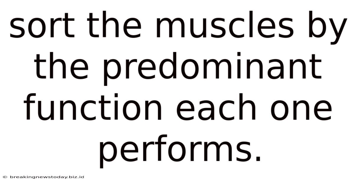 Sort The Muscles By The Predominant Function Each One Performs.
