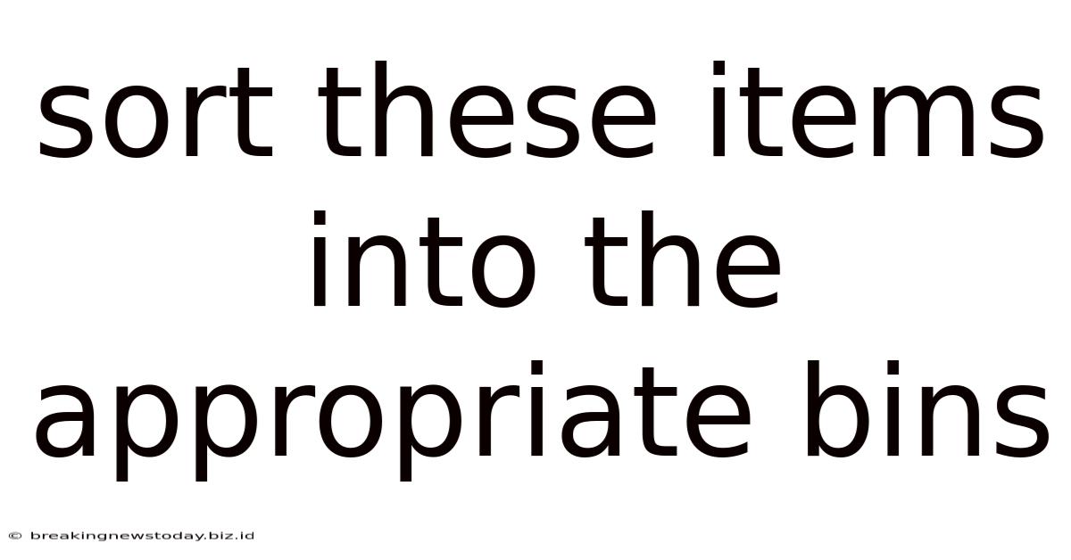Sort These Items Into The Appropriate Bins